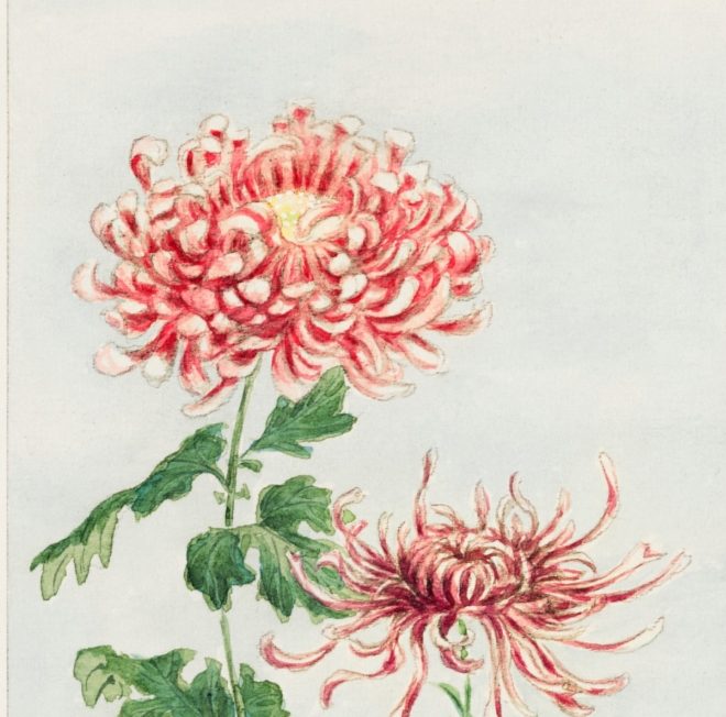 Symbolism of Flowers in Japanese Woodblock Prints